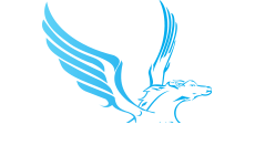 PIC Pegaso S.A. de C.V.
